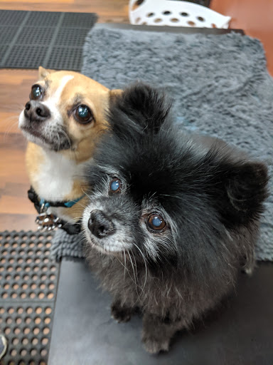 Pet Store «Pet Valu», reviews and photos, 190 Forty Foot Rd, Hatfield, PA 19440, USA