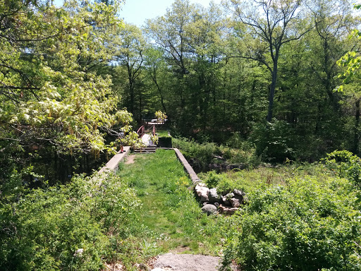 The Nature Conservancy in Connecticut