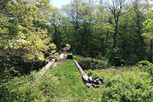 The Nature Conservancy in Connecticut