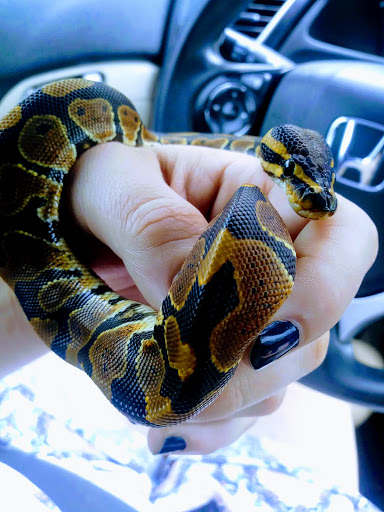 Pet Supply Store «Pet Bazaar», reviews and photos, 490 FL-436, Casselberry, FL 32707, USA