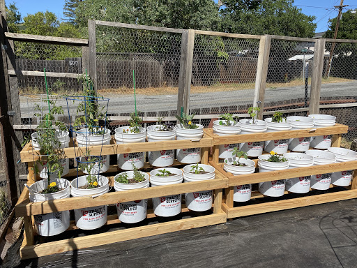 Sonoma Planters