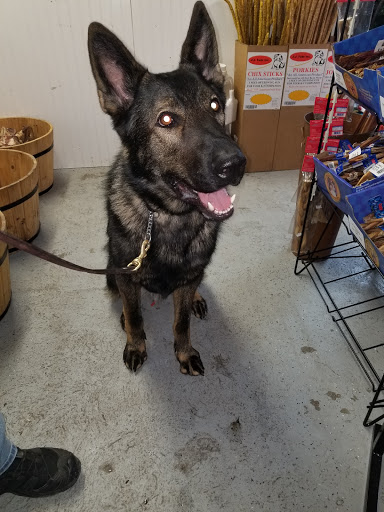 Pet Supply Store «Cheshire Cat & Dog Too», reviews and photos, 1320 Waterbury Rd, Cheshire, CT 06410, USA