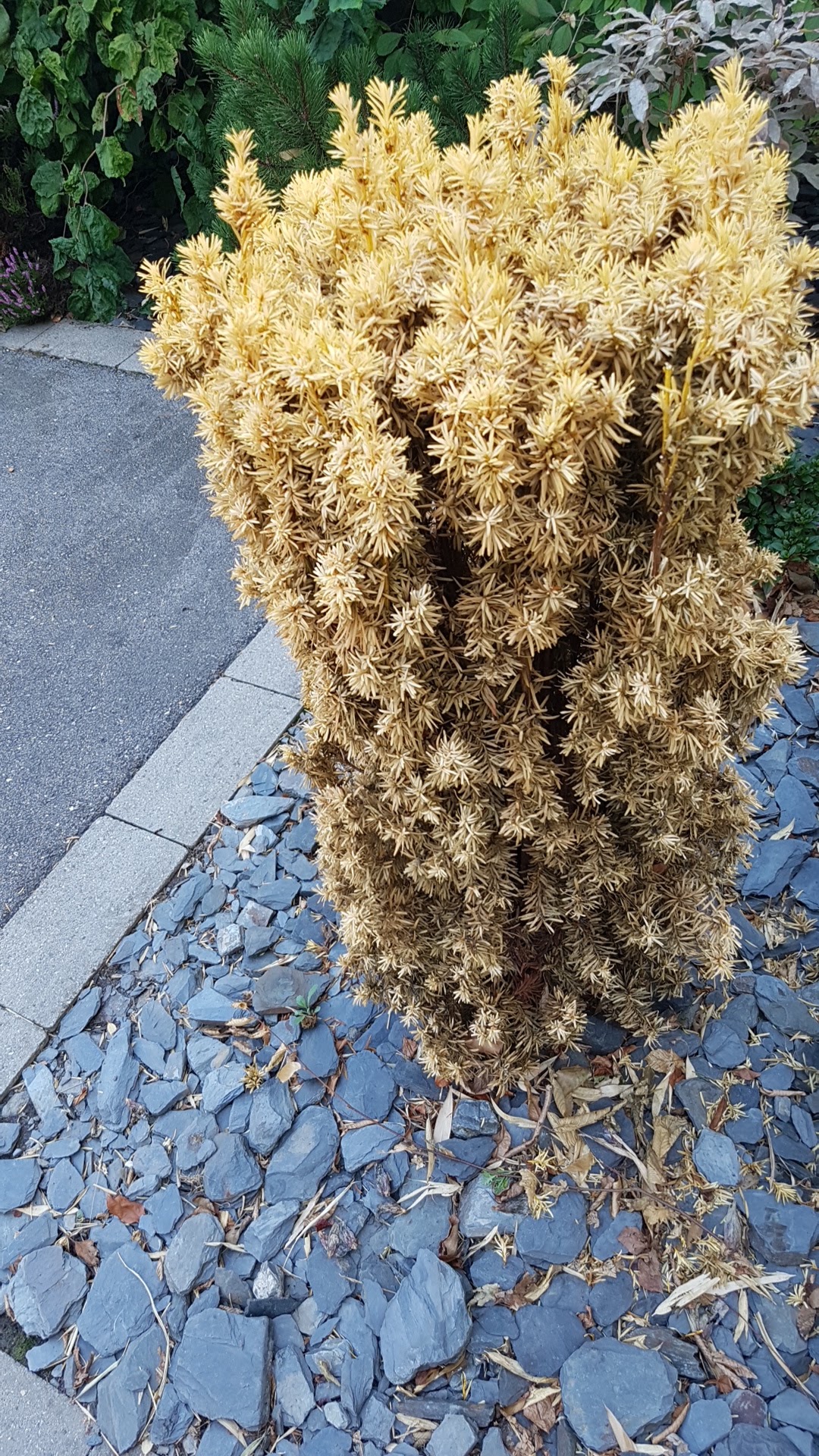 Photo n° 15 de l'avis de hugo.l fait le 20/08/2018 à 15:25
