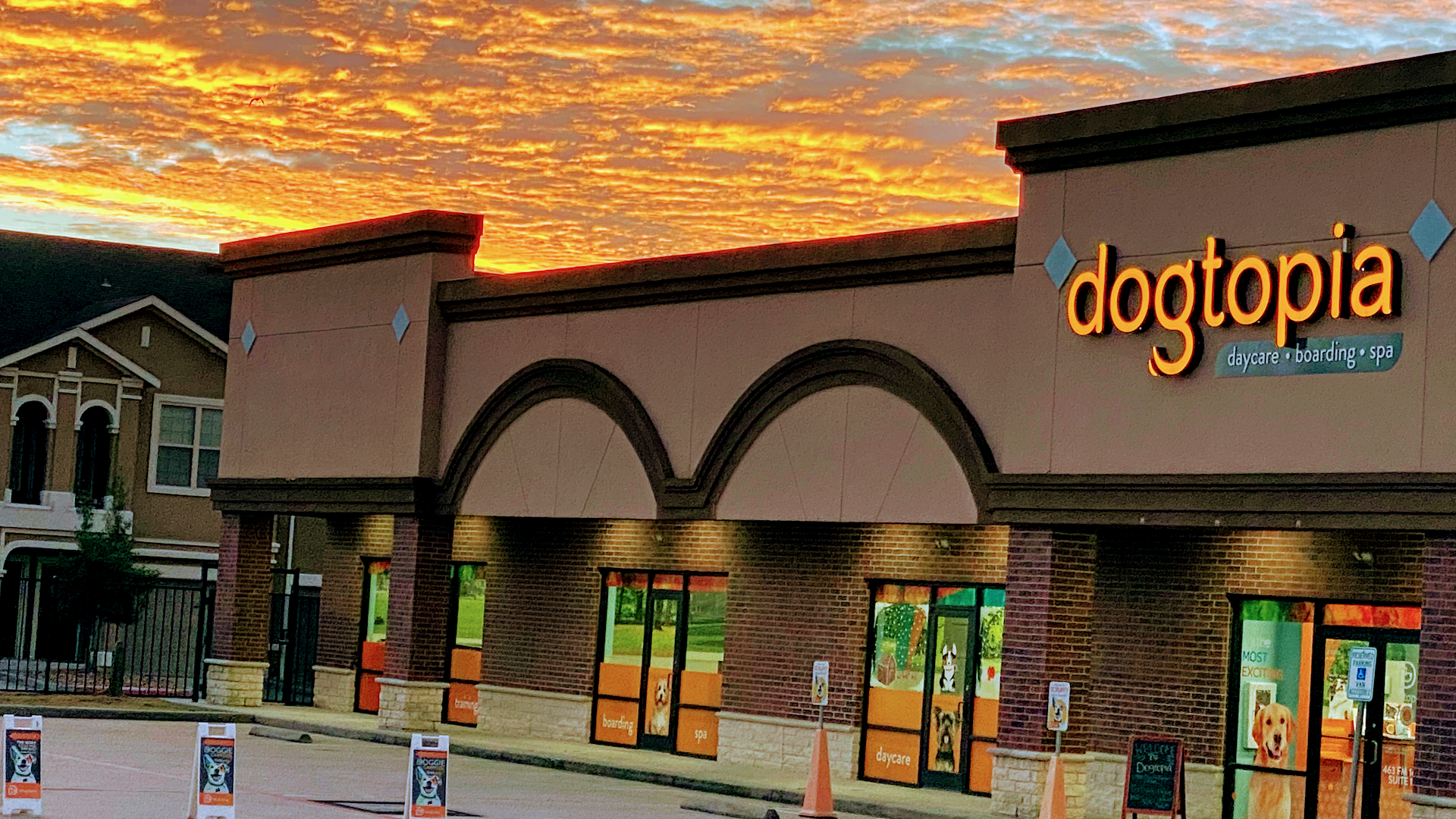 Dogtopia The Woodlands North