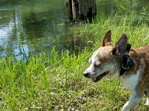 Golf Club «Virginian Golf Club», reviews and photos, 22512 Clubhouse Ridge, Bristol, VA 24202, USA