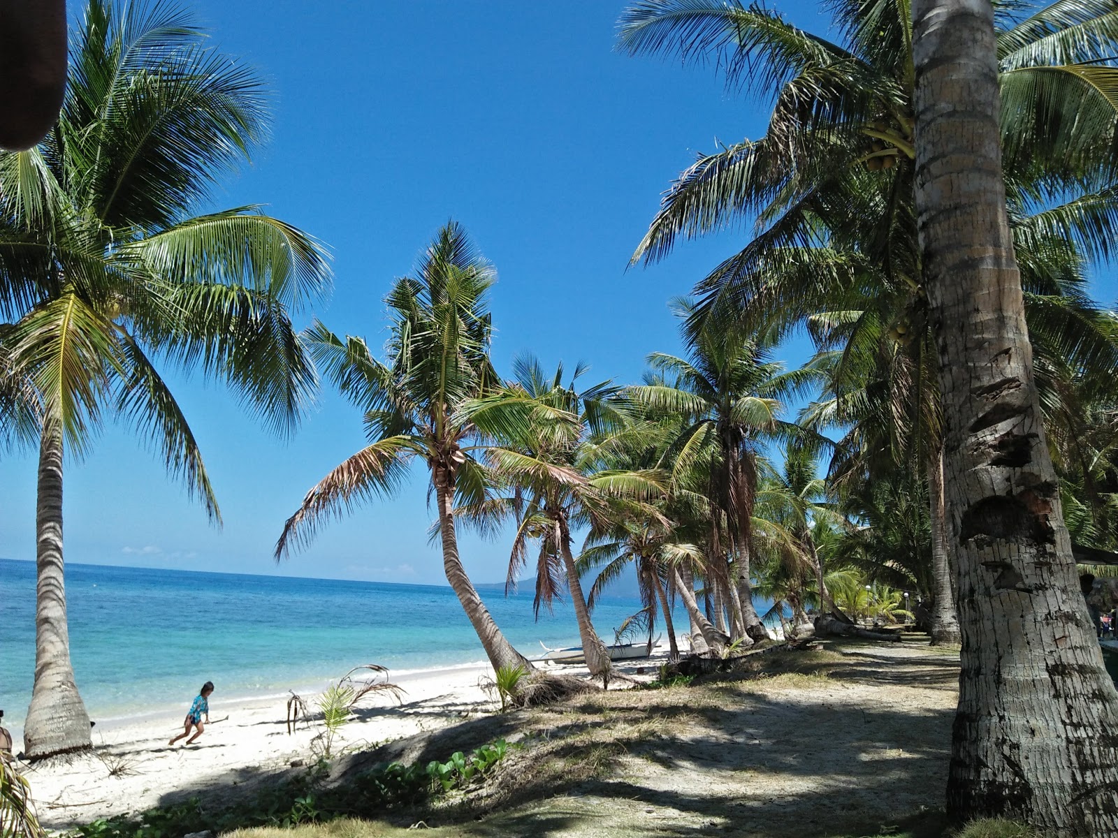 Polacay Beach photo #8
