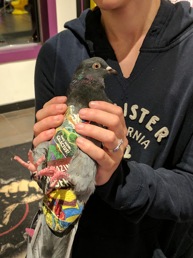 Gym «Planet Fitness», reviews and photos, 20 Portsmouth Ave, Stratham, NH 03885, USA