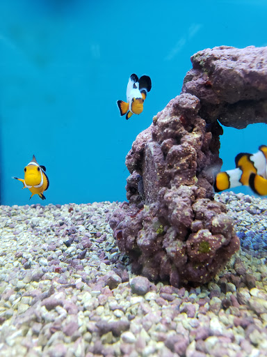 Pet Supply Store «Petco Animal Supplies», reviews and photos, 1574 N Dupont Hwy #300, Dover, DE 19901, USA