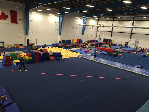 North Edmonton Gymnastics Club