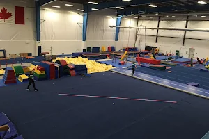 North Edmonton Gymnastics Club image