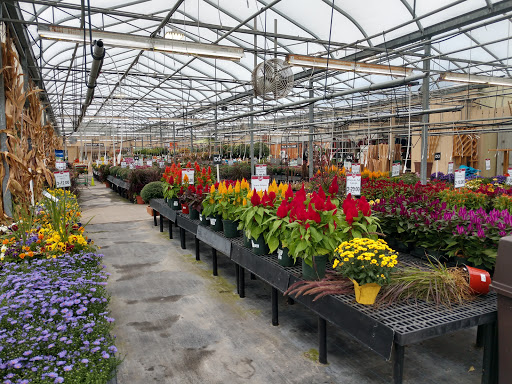 Garden Center «Stauffers of Kissel Hill Home & Garden Store», reviews and photos, 4450 Lincoln Hwy, York, PA 17406, USA