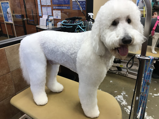 Pet Supply Store «PetSmart», reviews and photos, 476 Corwin Nixon Blvd, South Lebanon, OH 45065, USA