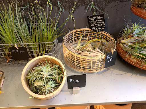 Florist «Raven Rose», reviews and photos, 474 Main St, Beacon, NY 12508, USA