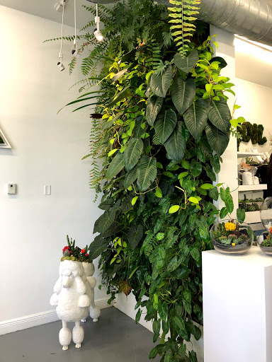 Interior Plant Service «Plant The Future, Inc.», reviews and photos, 2511 NW 2nd Ave, Miami, FL 33127, USA
