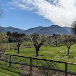 Photo n°2 de l'avis de Sascha. fait le 24/07/2022 à 16:52 sur le  La Locanda del Notaio à Alta Valle Intelvi