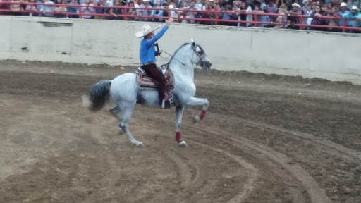 Rodeo «Rancho Los Potrillos», reviews and photos, 924 W Ropes Ave, Woodlake, CA 93286, USA