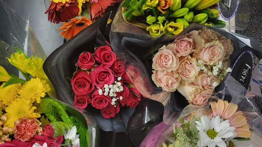 Grocery Store «Food Lion», reviews and photos, 1001 E Pulaski Hwy, Elkton, MD 21921, USA