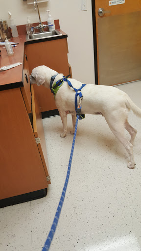 Pet Supply Store «PetSmart», reviews and photos, 1836 Joe Battle Blvd, El Paso, TX 79936, USA