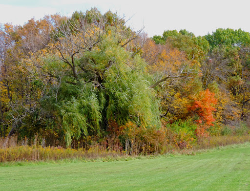 Nature Preserve «Oakhurst Forest Preserve», reviews and photos, 1680 5th Ave, Aurora, IL 60504, USA