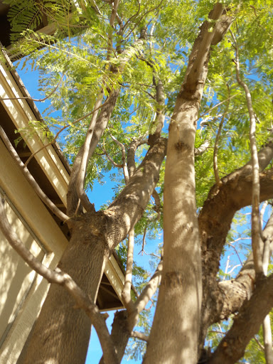 Park «La Paloma Park», reviews and photos, 6579 S Amanda Blvd, Chandler, AZ 85249, USA