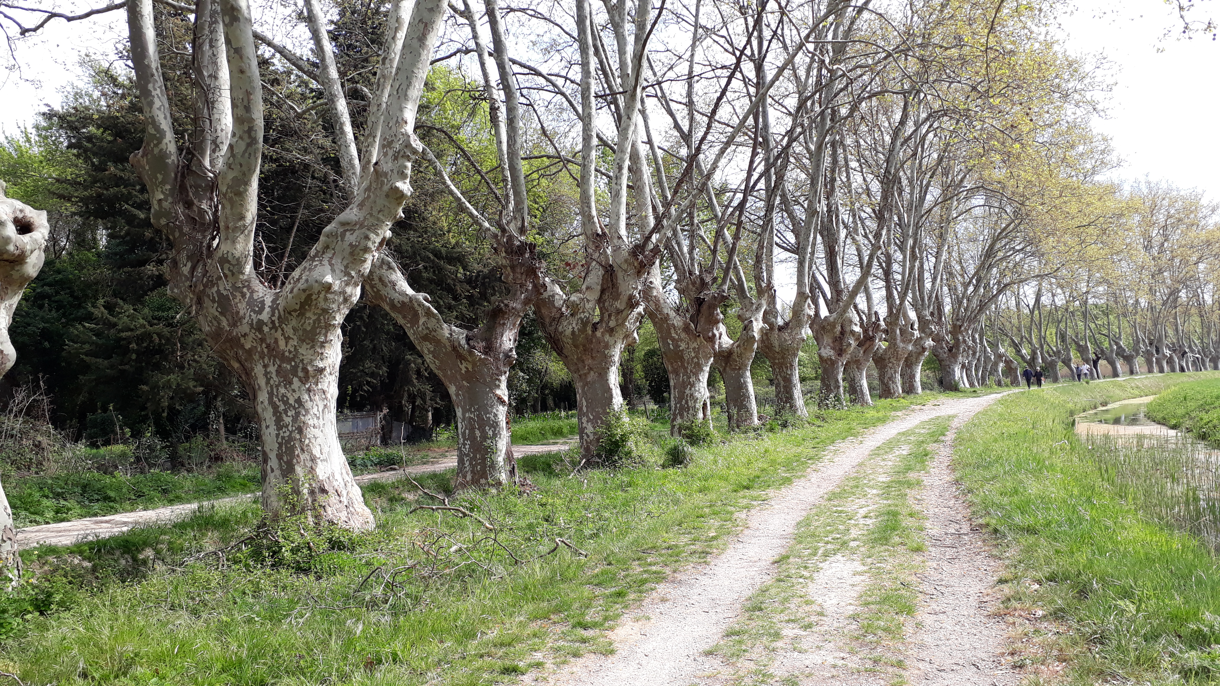 Photo n° 16 de l'avis de Cassandra.i fait le 17/03/2019 à 16:00
