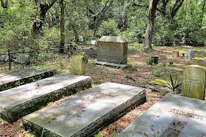 Micanopy Historic Cemetery image