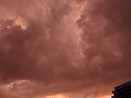 Department Store «Walmart Supercenter», reviews and photos, 3700 Owen Rd, Fenton, MI 48430, USA