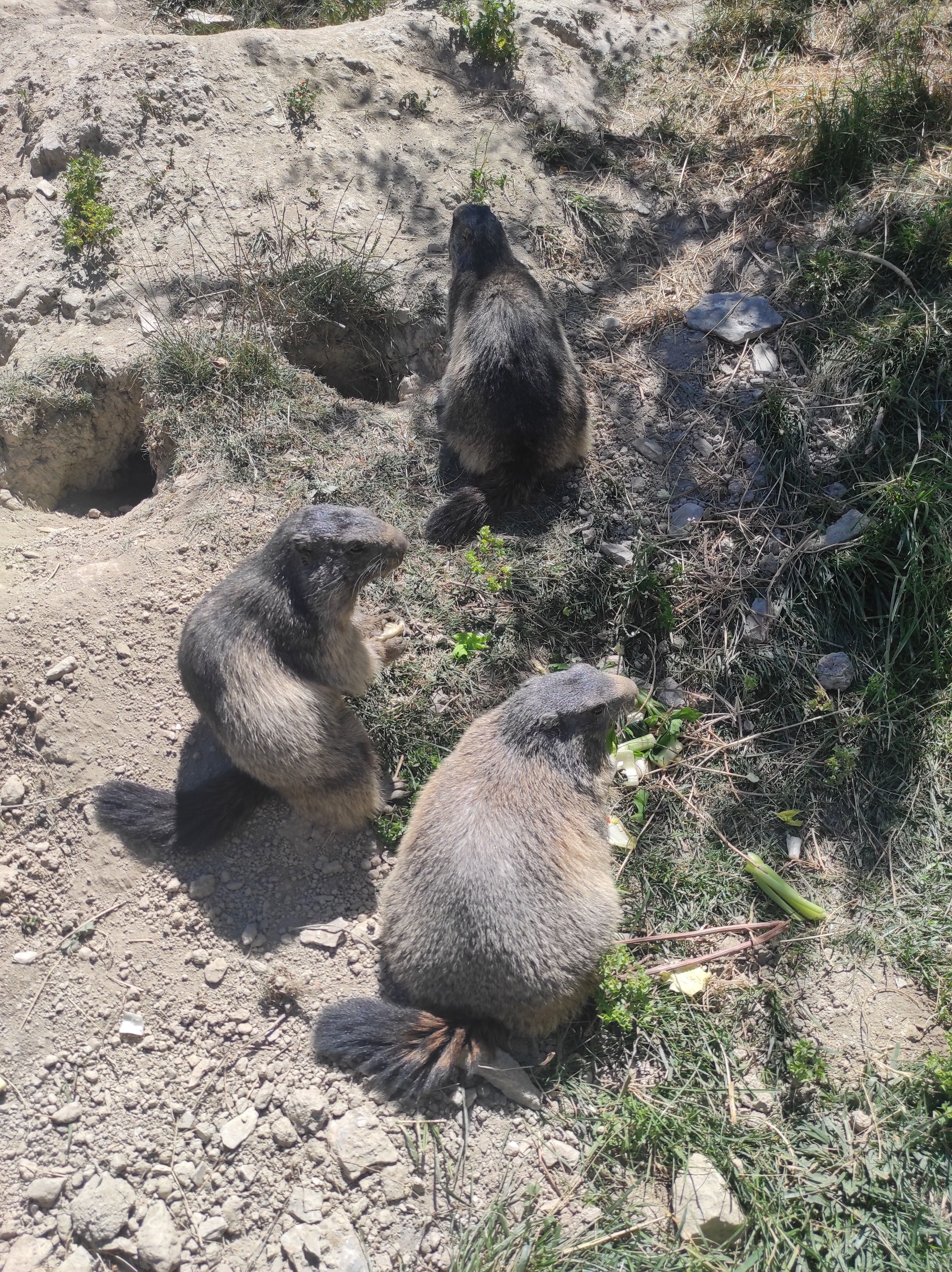Photo n° 2 de l'avis de Christel.a fait le 18/08/2023 à 05:52