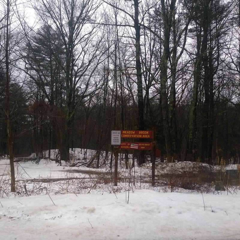 Meadow Brook Conservation Area - Old Thomson Road