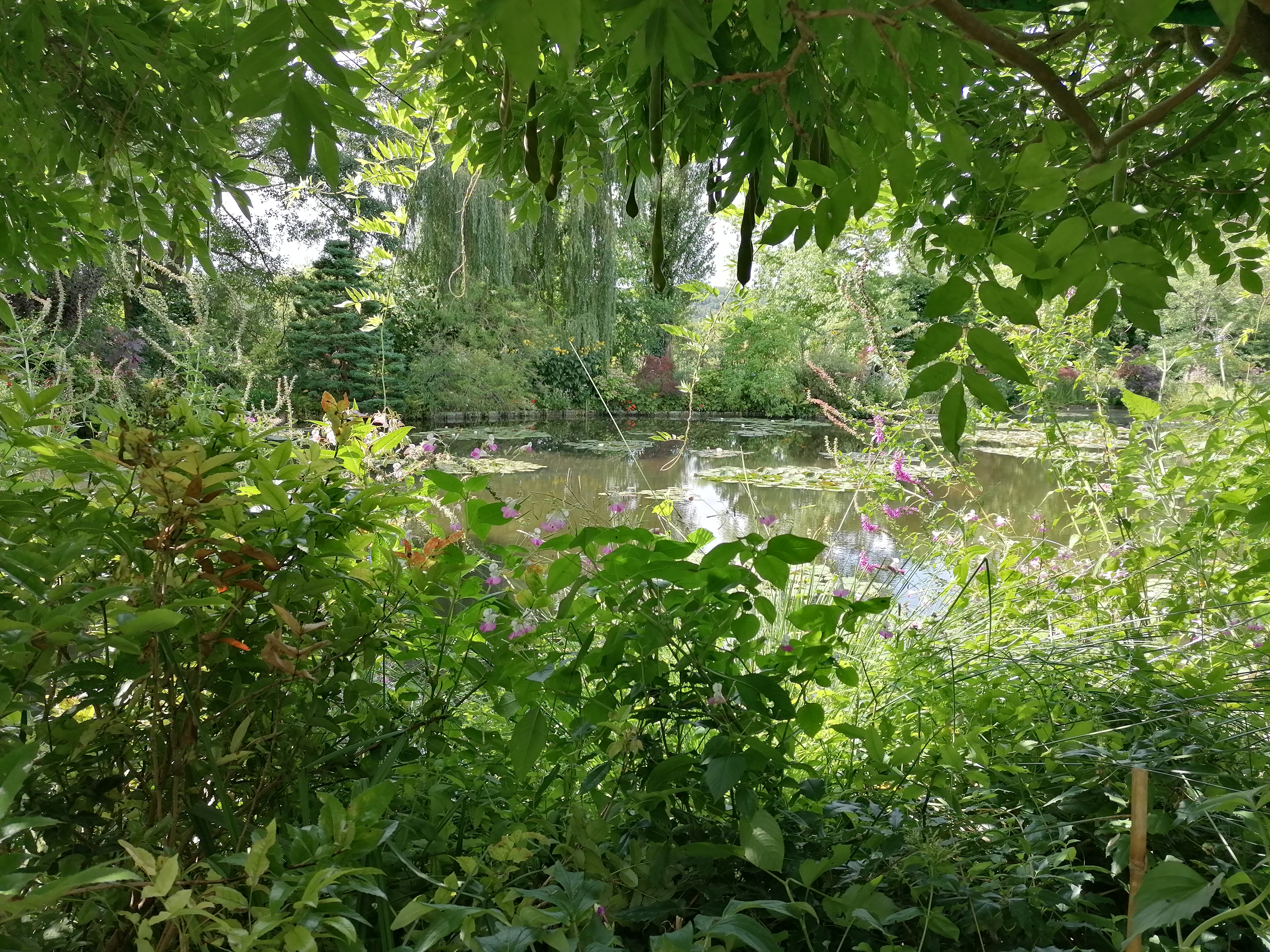 Photo n° 9 de l'avis de Sil.e fait le 29/08/2023 à 15:53