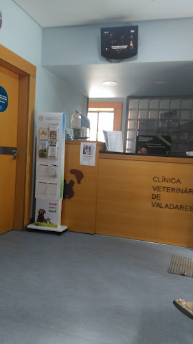 Clínica Veterinária De Valadares Lda - Veterinário