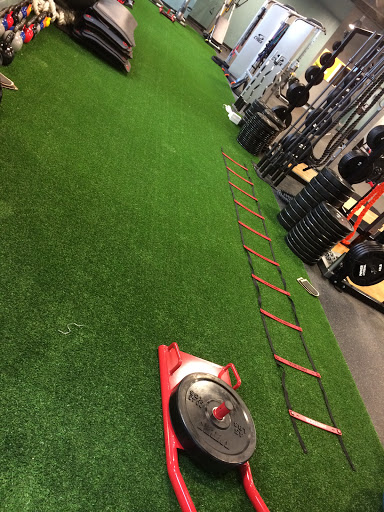 Gym «1 & Only Fitness», reviews and photos, 8607 E 116th St, Fishers, IN 46038, USA