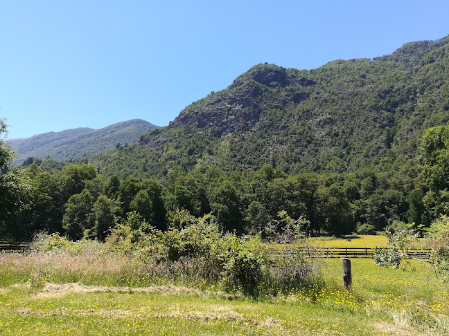 Comentarios y opiniones de Lago Collico