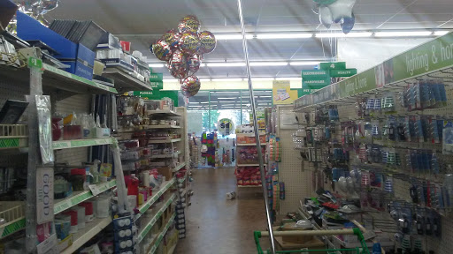Dollar Store «Dollar Tree», reviews and photos, 35233 Newark Blvd c, Newark, CA 94560, USA
