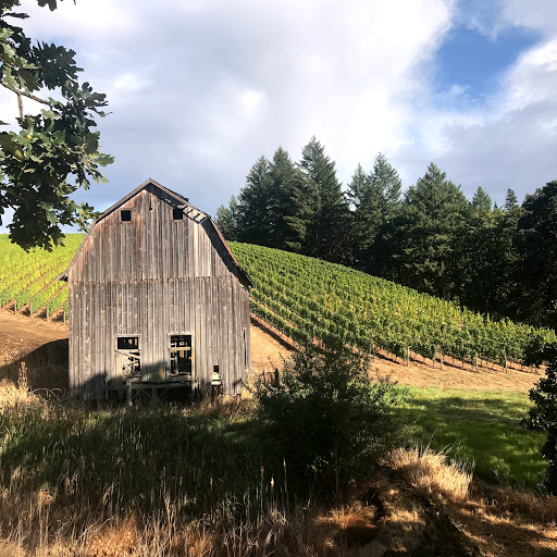 Winery «Colene Clemens Vineyards», reviews and photos, 22501 NE Dopp Rd, Newberg, OR 97132, USA