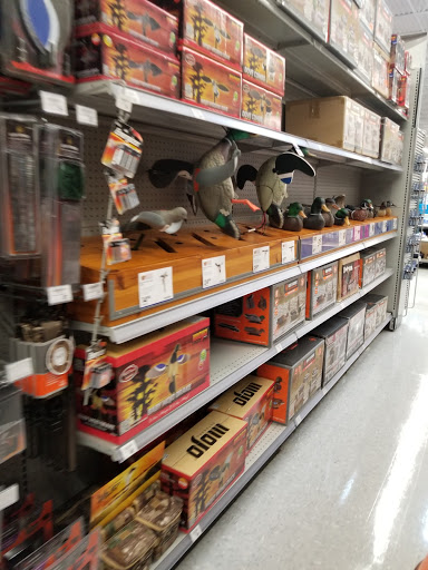 Sporting Goods Store «Academy Sports + Outdoors», reviews and photos, 3641 Lake Emma Rd, Lake Mary, FL 32746, USA