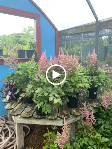 Landscaping Supply Store «Kirkwood Gardens», reviews and photos, 2701 Barrett Station Rd, Ballwin, MO 63021, USA