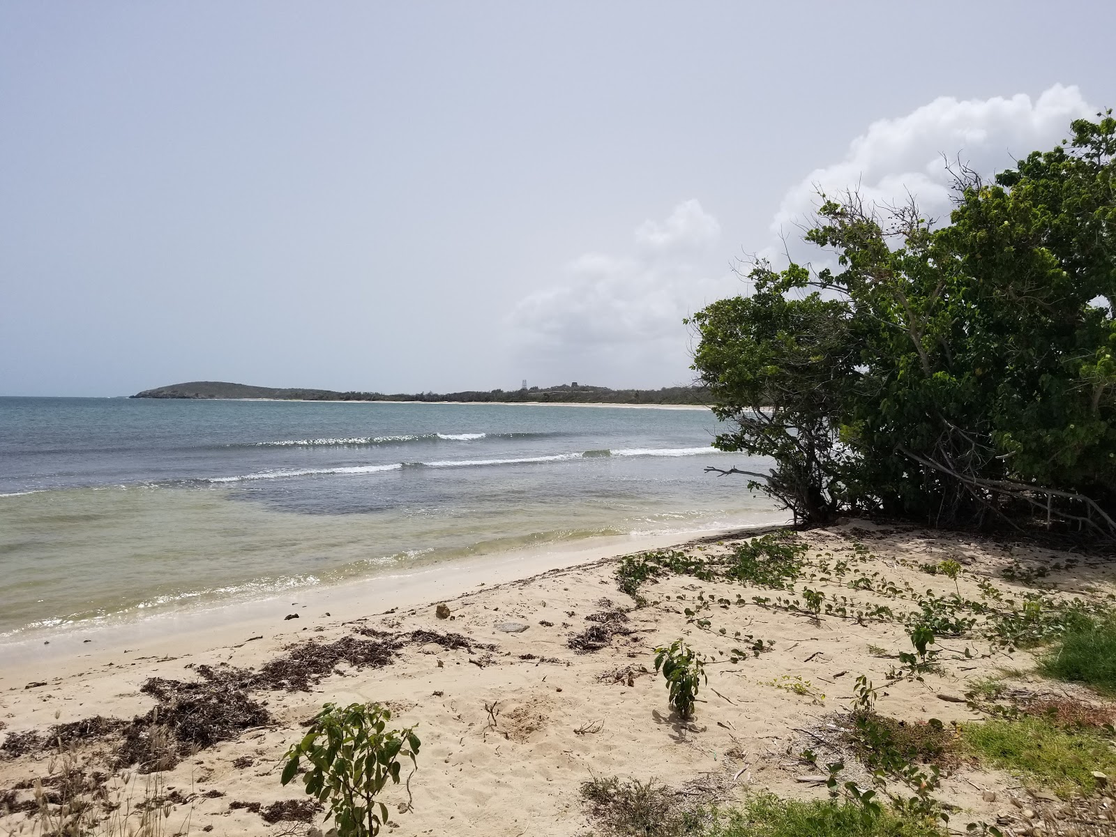 Foto af Hay Penny beach - populært sted blandt afslapningskendere