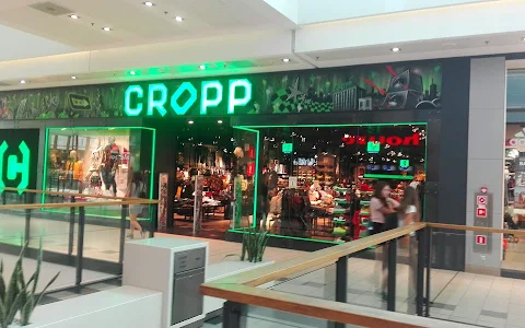 Cropp image