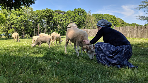 Museum «Coggeshall Farm Museum», reviews and photos, 1 Colt Dr, Bristol, RI 02809, USA