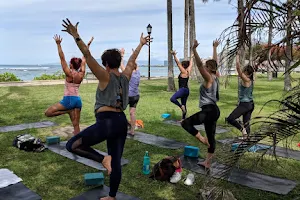 Yoga Under The Palms Waikiki image