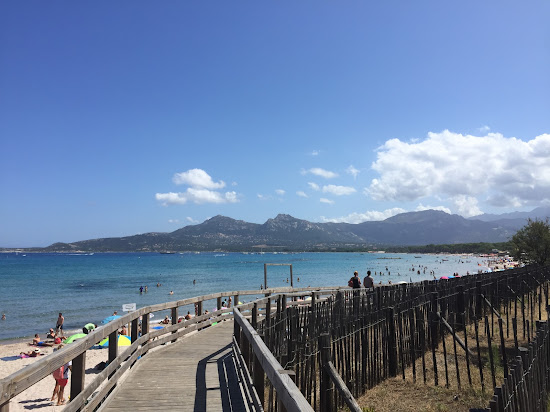 Calvi beach