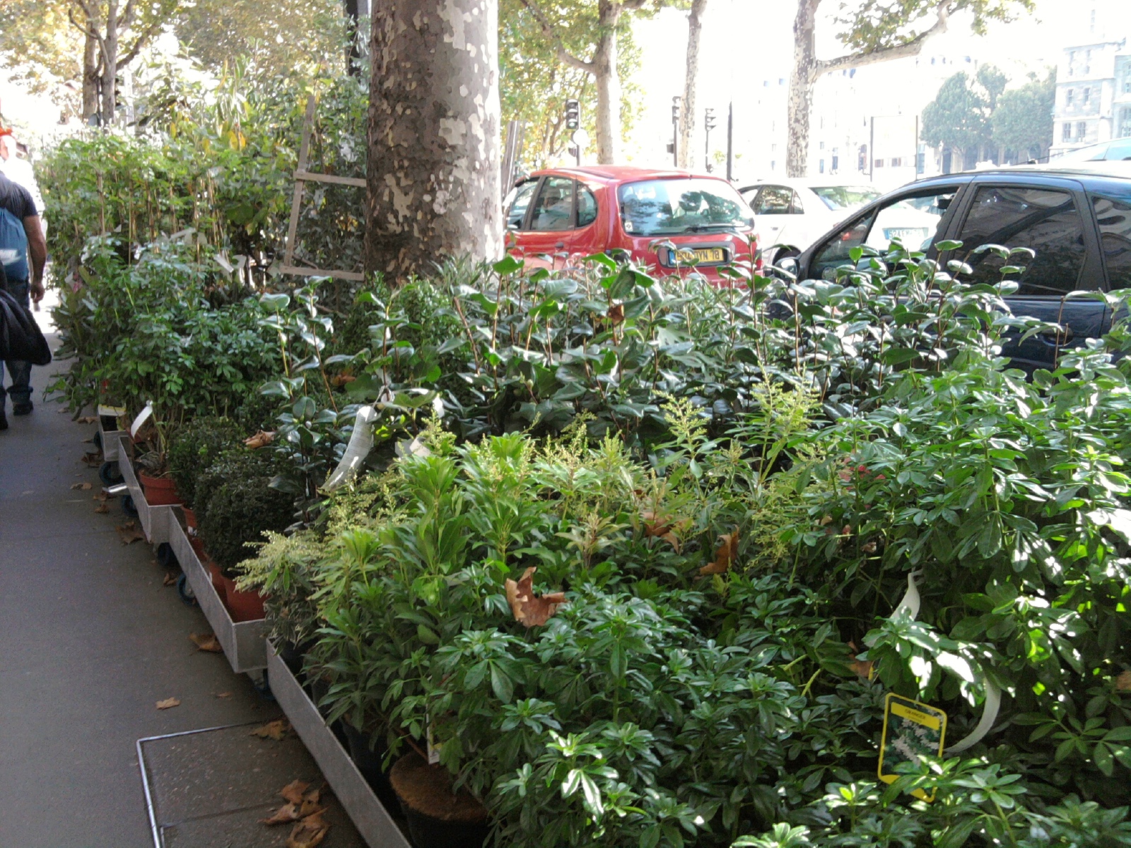 Photo n° 4 de l'avis de Enrico.o fait le 21/09/2017 à 05:36
