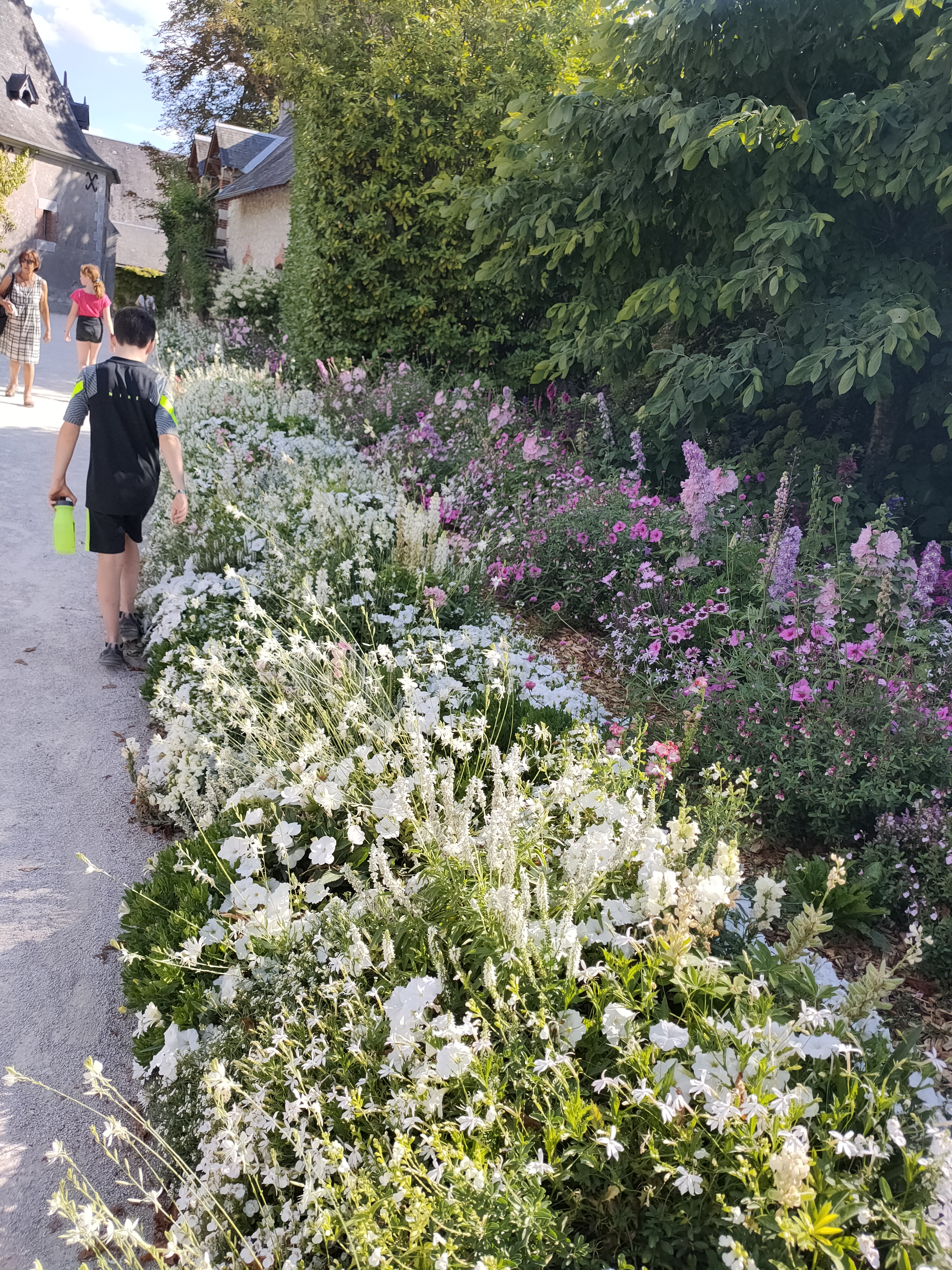 Photo n° 1 de l'avis de Mickael.e fait le 27/07/2022 à 20:45