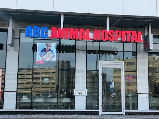 Arc Animal Hospital