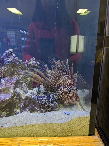 Aquarium Shop «Wet Pets by Steve», reviews and photos, 504 W Main St, Norman, OK 73069, USA