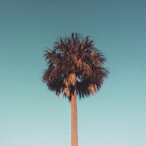 Park «Henry J. Klutho Park», reviews and photos, 204 W 3rd St, Jacksonville, FL 32206, USA