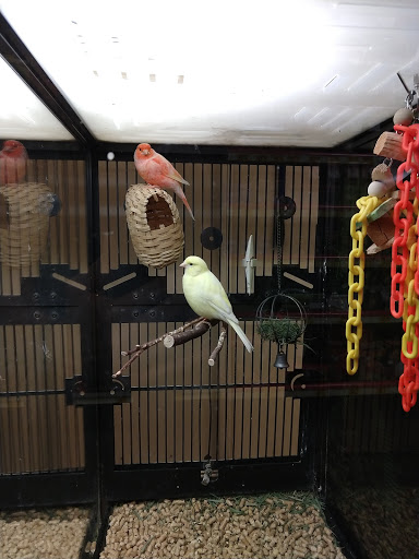 Pet Supply Store «PetSmart», reviews and photos, 4374 N Oracle Rd, Tucson, AZ 85705, USA