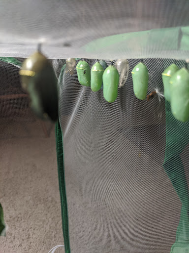 Shopping Mall «Merritt Park Shopping Center», reviews and photos, 1762 Merritt Blvd, Dundalk, MD 21222, USA