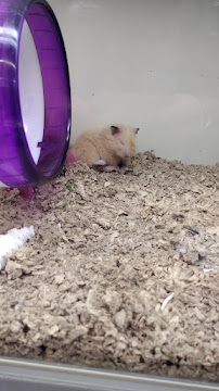 Pet Supplies Plus Amarillo - Photo 7 - Car repair in Amarillo, TX, Amarillo